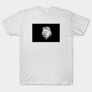 Lion 1/4/22 / Swiss Artwork Photography T-Shirt